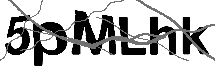 Loading CAPTCHA Image...
